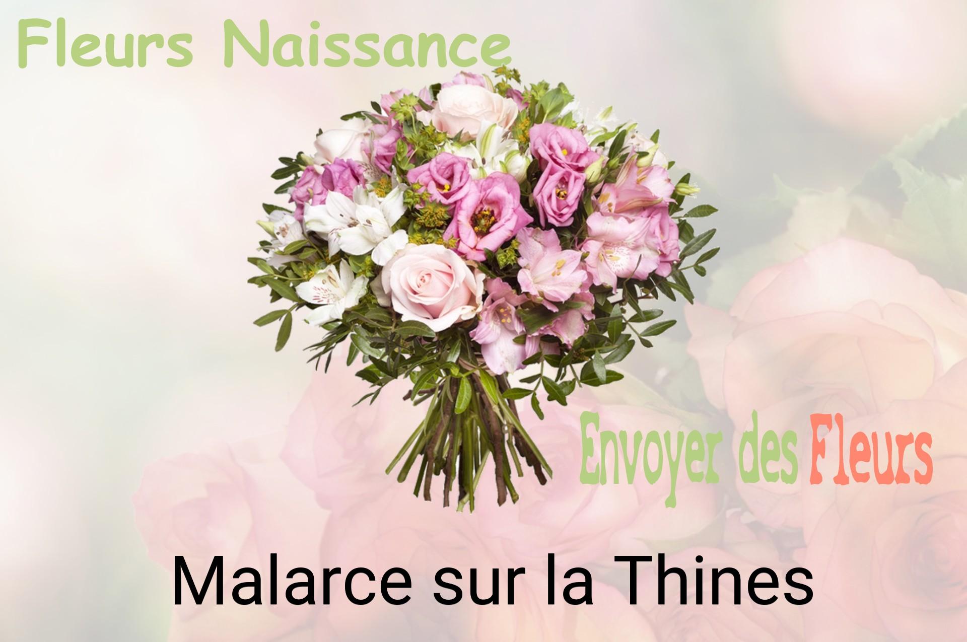 Bouquet de fleurs de naissance livré à Malarce-sur-la-Thines